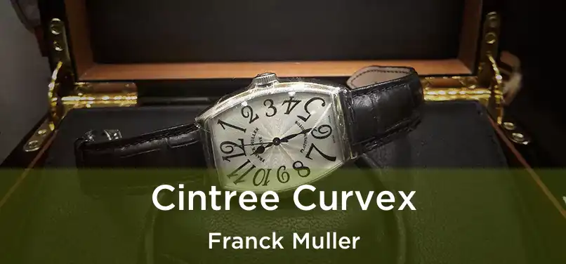  Cintree Curvex Franck Muller