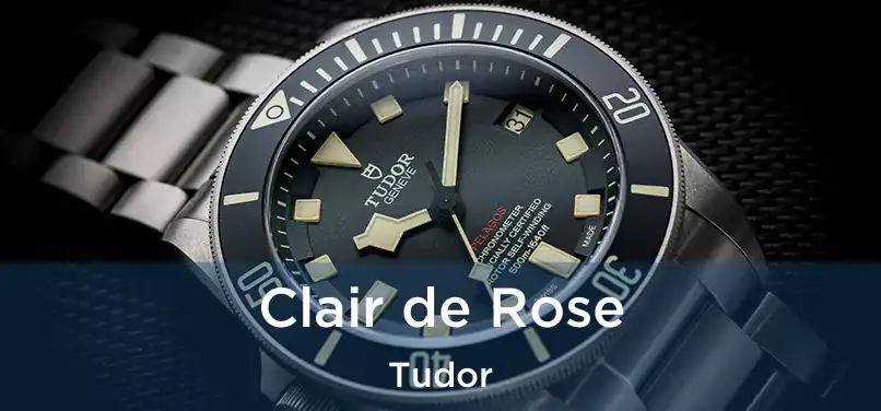  Clair de Rose Tudor