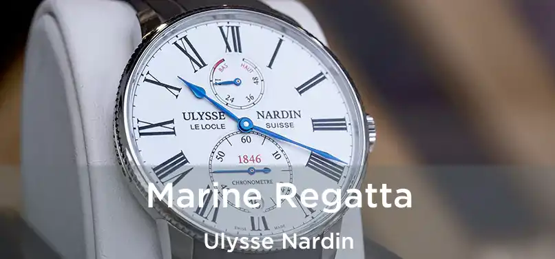  Marine Regatta Ulysse Nardin
