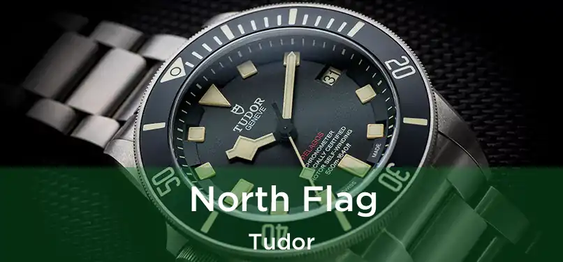  North Flag Tudor